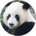 David McDermott (Mac) profile picture